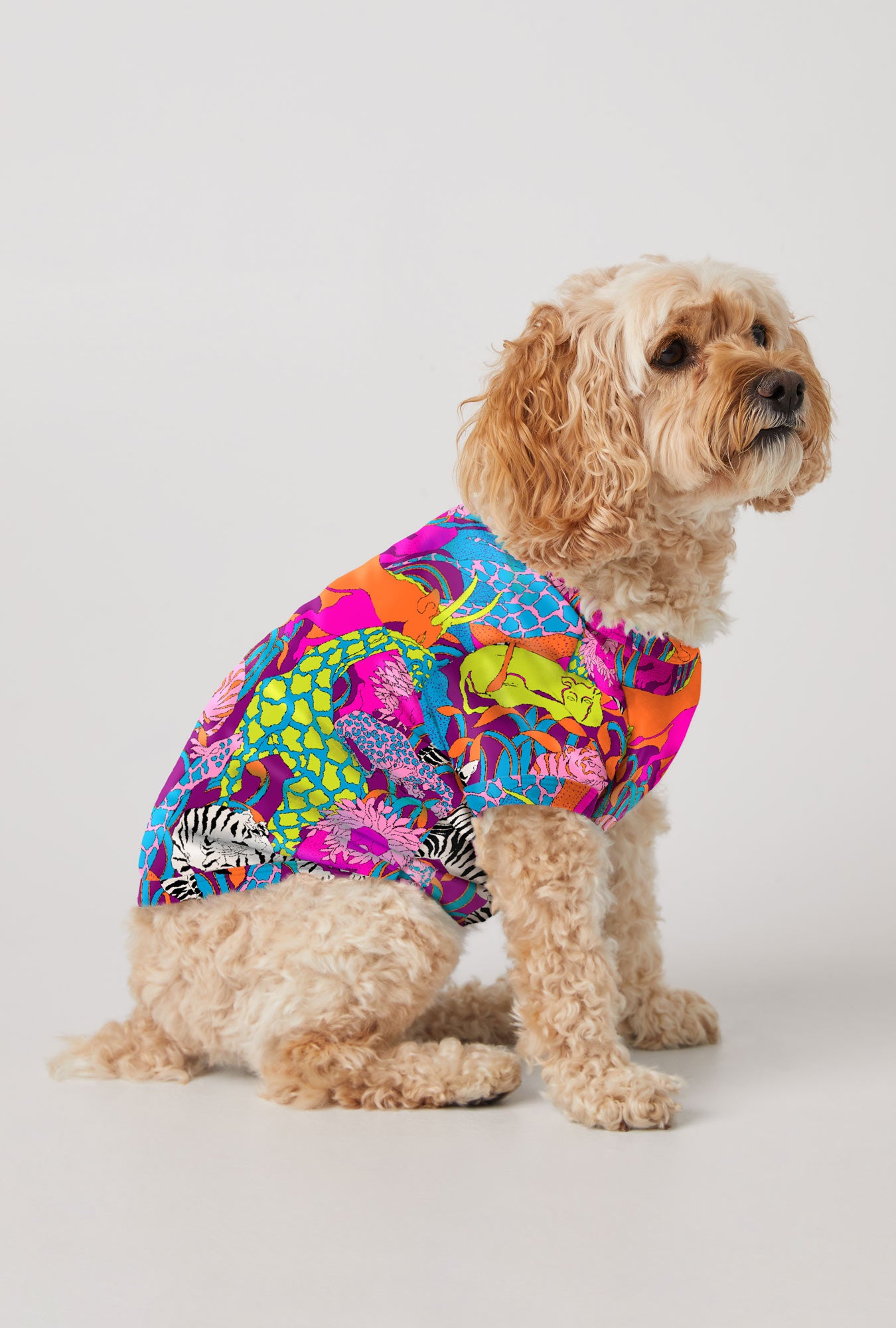 A fluffy, light brown dog sits sideways against a plain white background, wearing the Jungle Dog Pajama—a multi-colored, eco-friendly shirt featuring bold neon patterns and various animals.