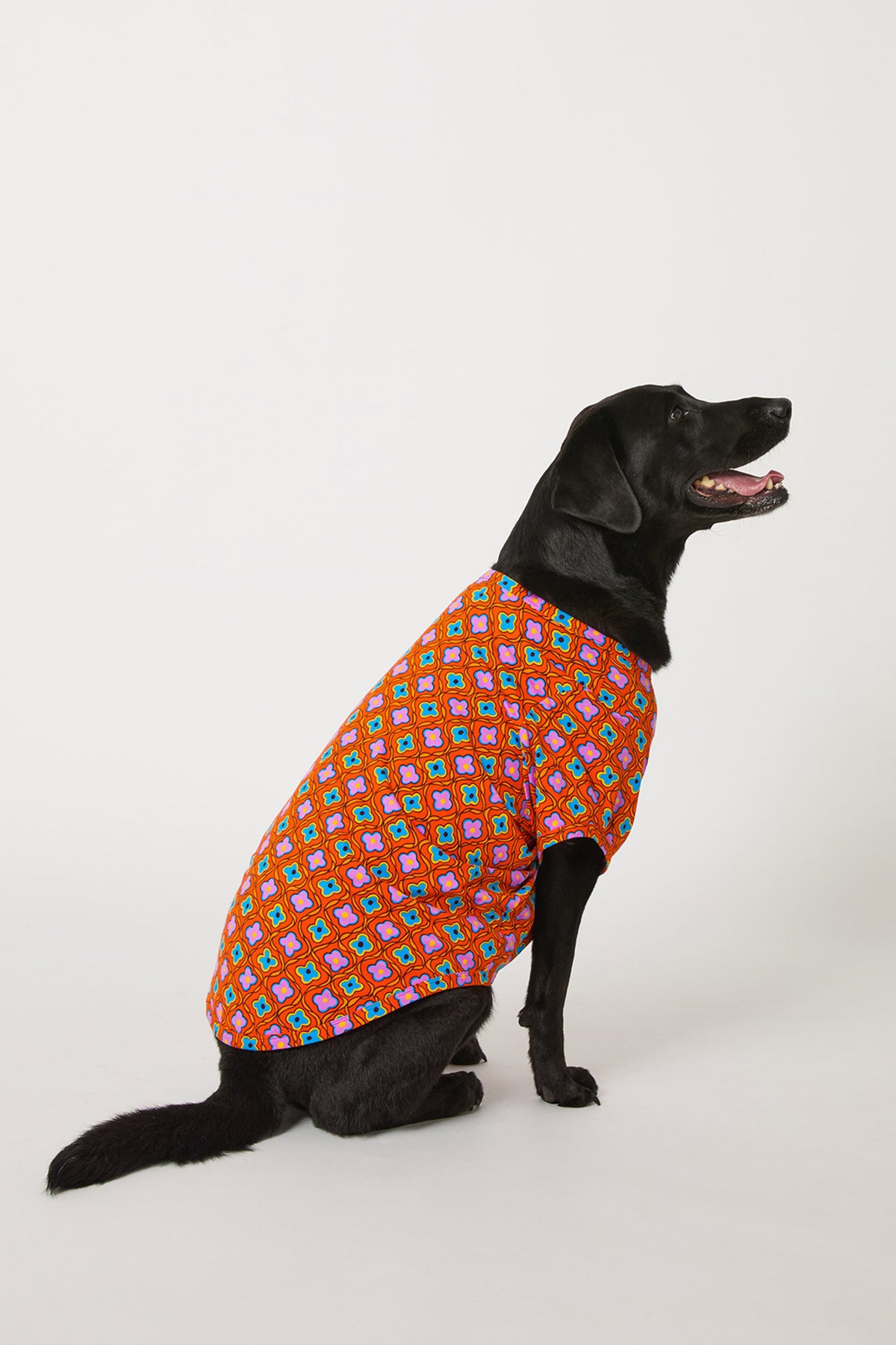 A black dog sits on a white background, wearing the Daisy Foulard Dog Pajama—a vibrant red outfit with blue and yellow geometric patterns. The dog faces right with its mouth slightly open.
