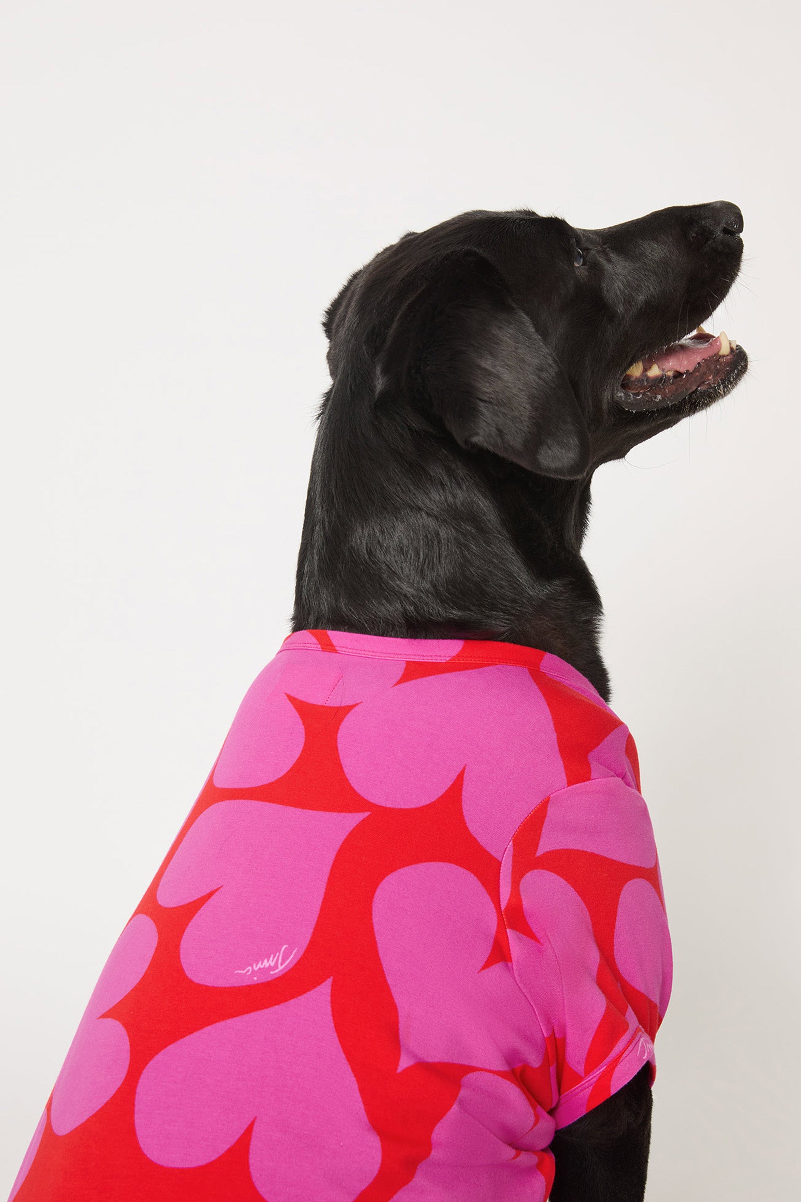 Of course! Please provide the keywords you'd like me to blend into the HEARTS DOG PAJAMA description.