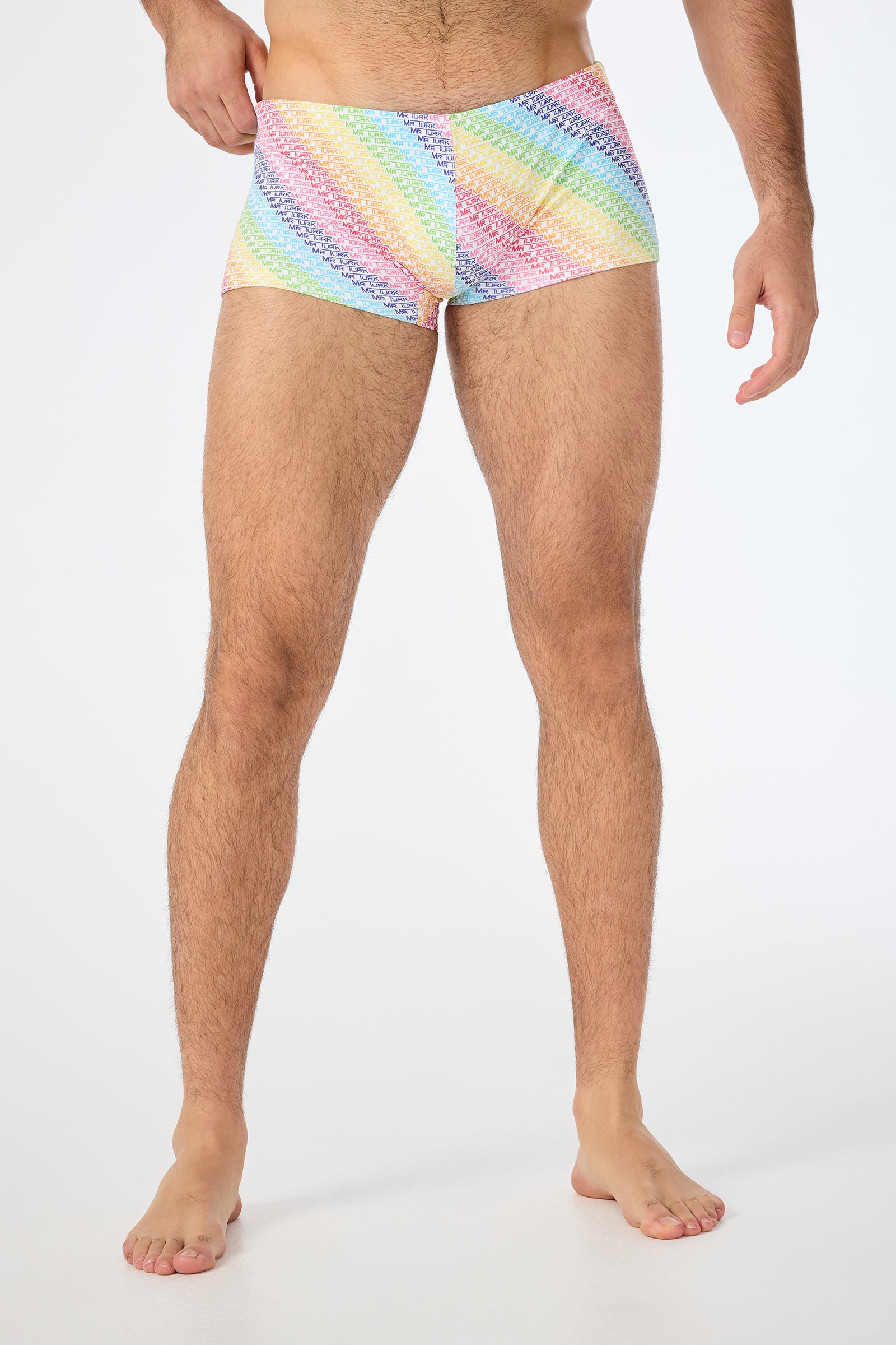 Sorrento Swim Trunk - Pride