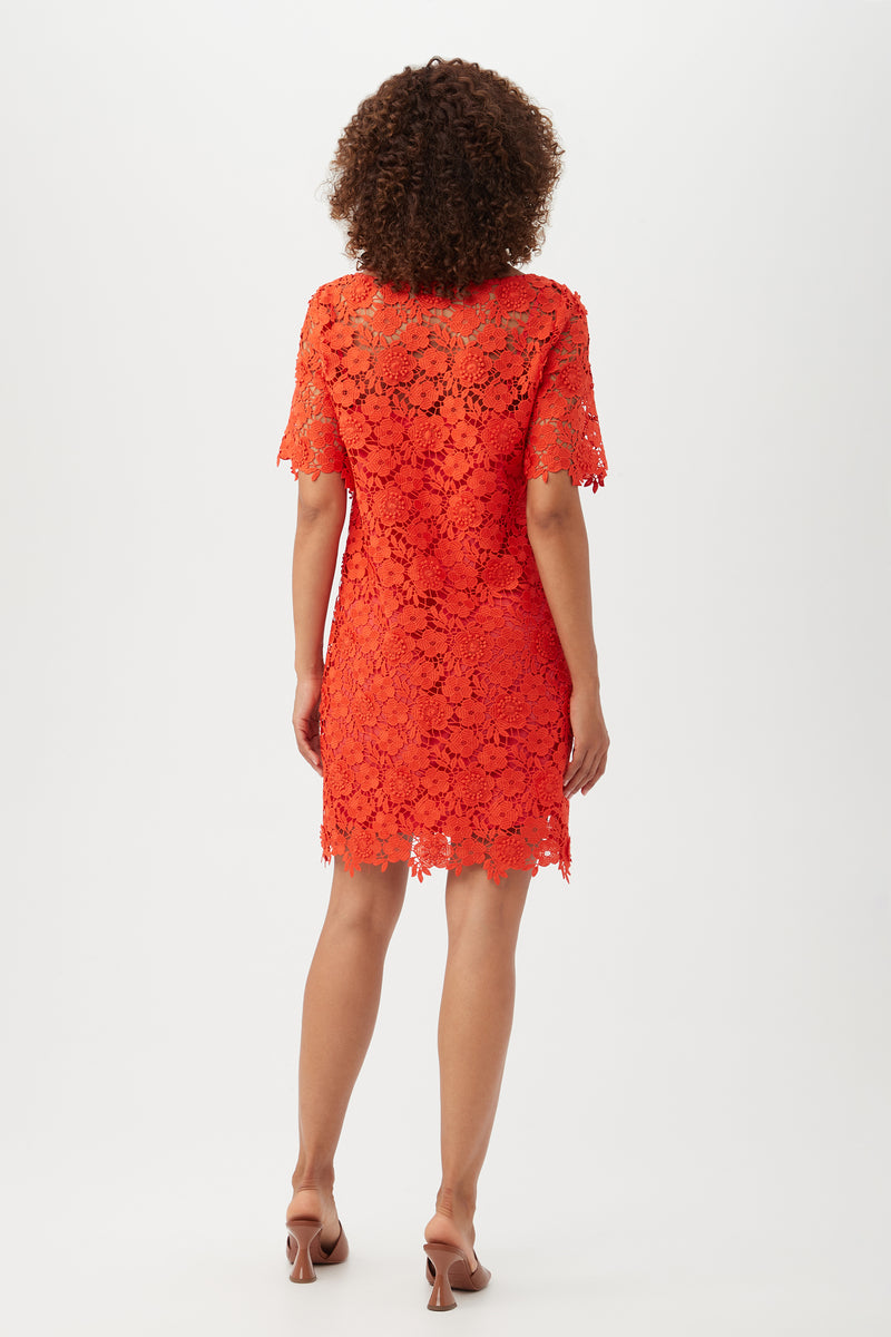 REEF RED