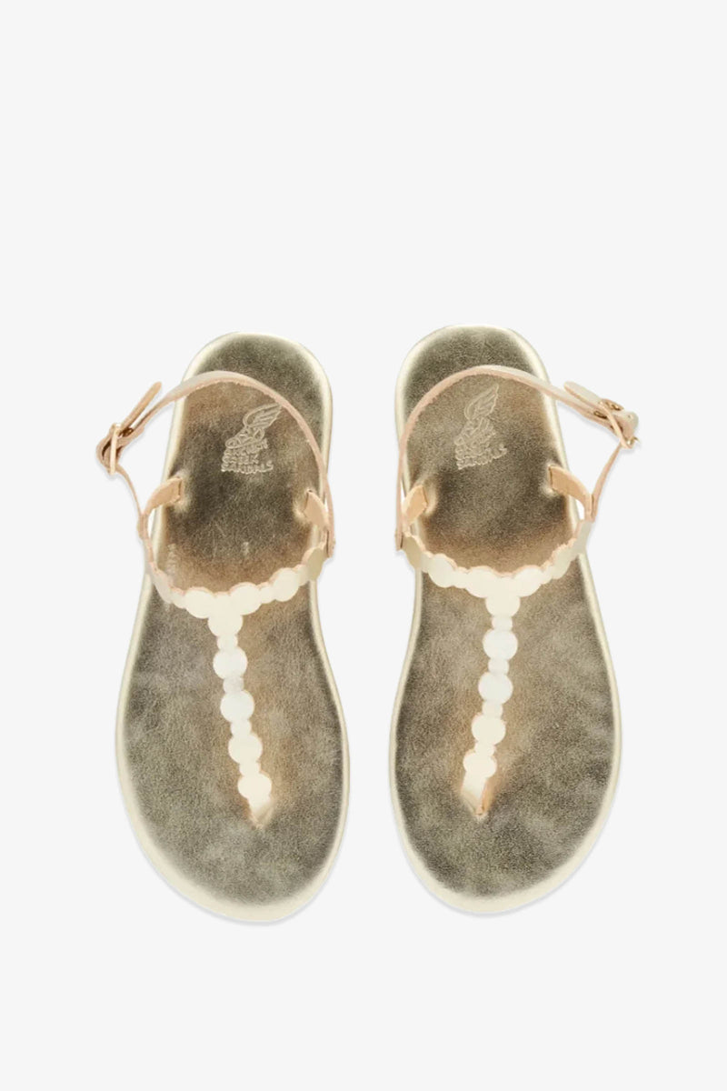 A pair of Ancient Greek Sandals Velos flat, tan leather sandals featuring scalloped straps and circular white embellishments, viewed from above on a white background.