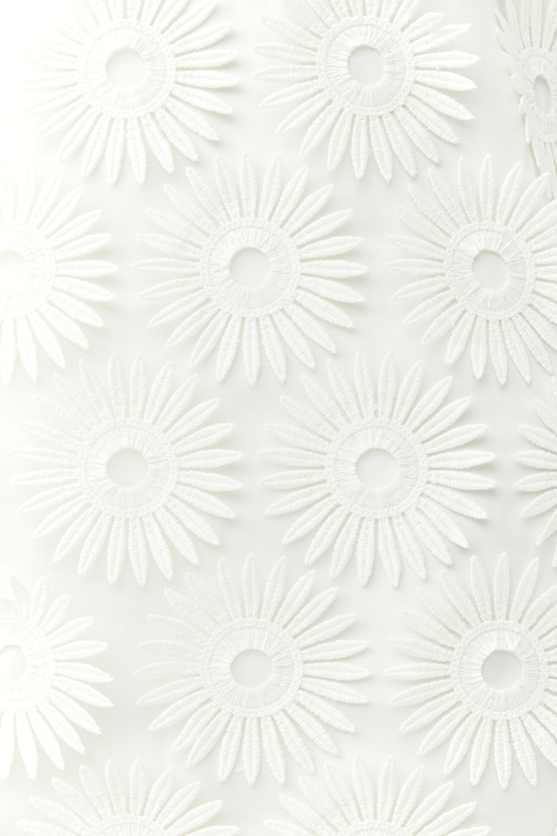 WHITEWASH
