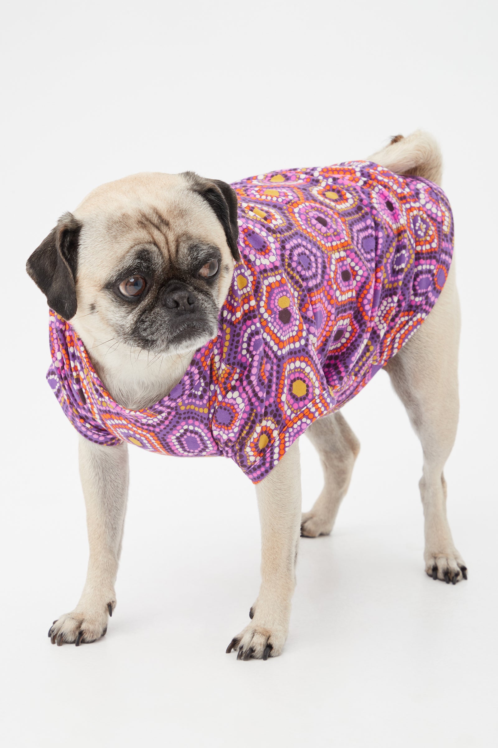 A small pug stands on a white background, wearing the Honeycomb Dots Short Sleeve Jersey Dog Pajama Shirt in purple with colorful geometric designs.