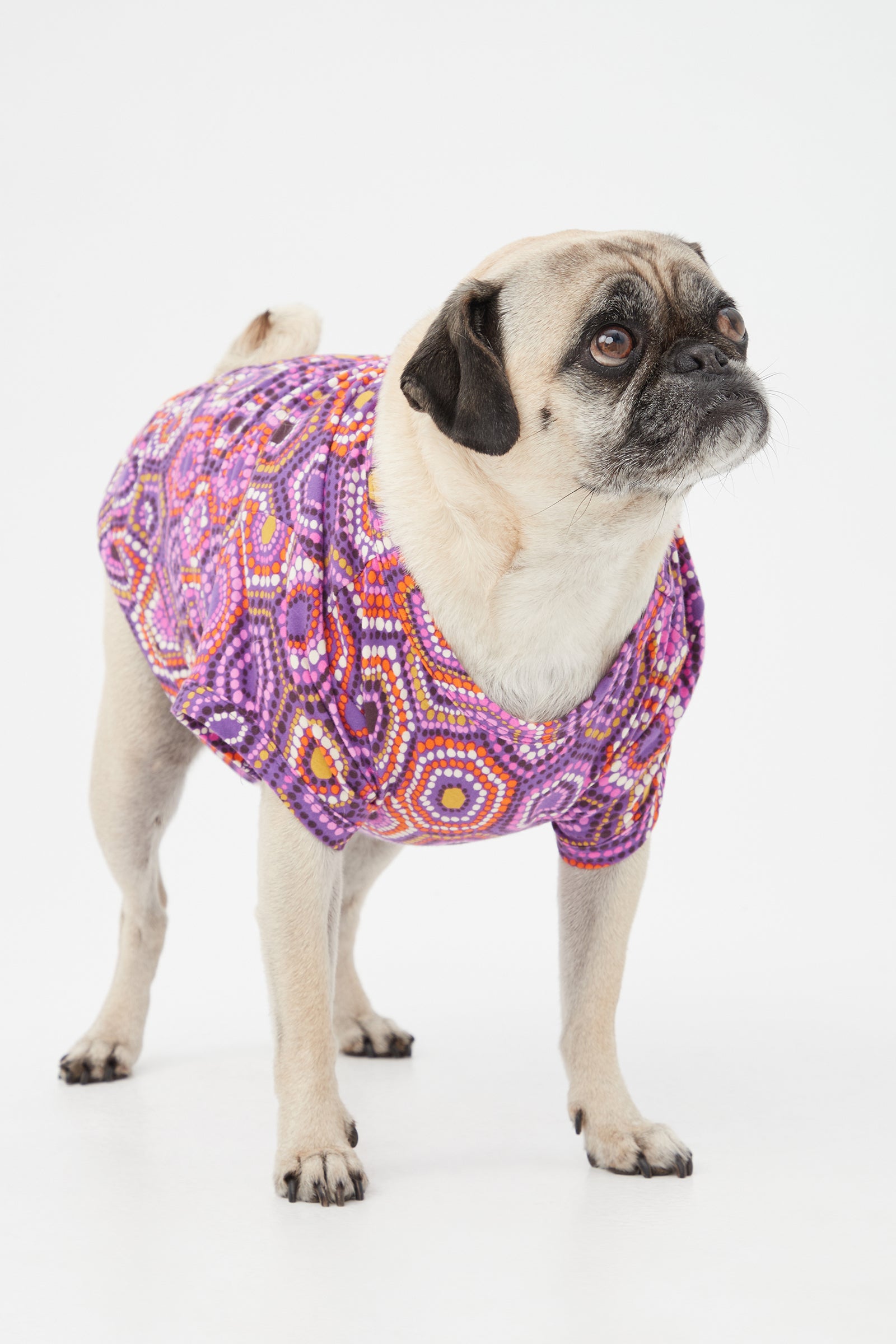 A pug stands on a white background wearing the Honeycomb Dots Short Sleeve Jersey Dog Pajama Shirt, featuring colorful purple, orange, and pink hexagonal patterns.
