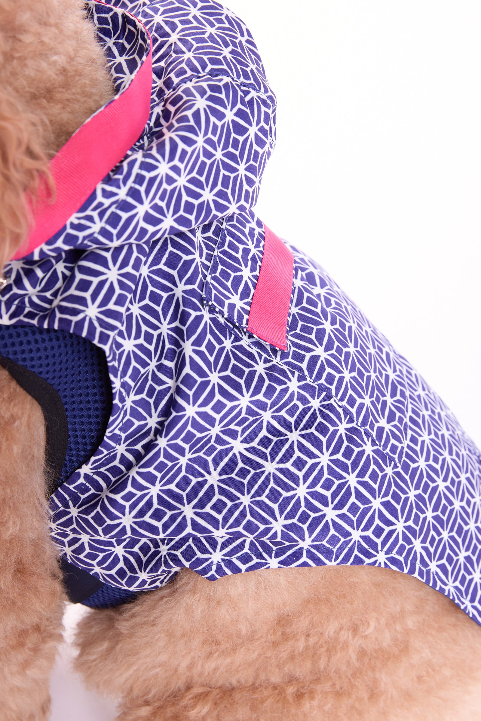 A close-up of a dog wearing the Trina Turk X K9 Dog Raincoat - Durell in blue and white with a pink strap, set against a white background. Only part of the dogs body is visible.