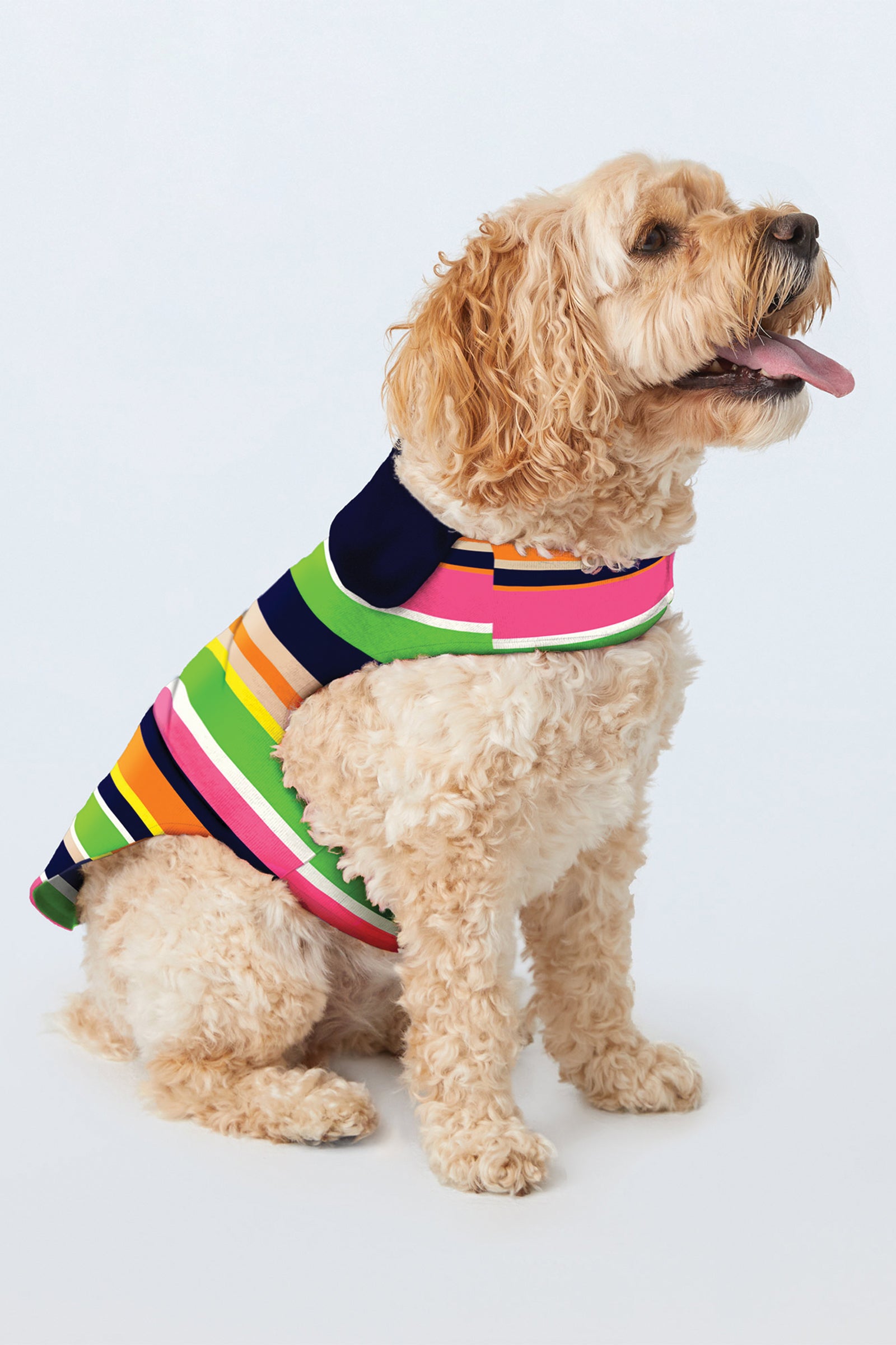 A beige, curly-haired dog sits facing right, mouth open and tongue out, wearing the Dog Pajama Shirt - Poolside Stripe Poplin in Multi stripes, against a plain light background.