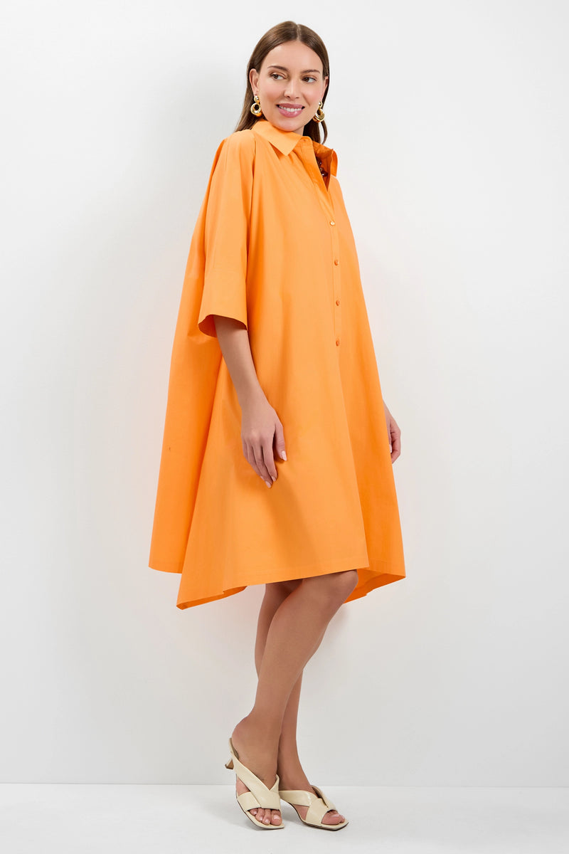 A woman wearing the Mirabello Shirt Dress.