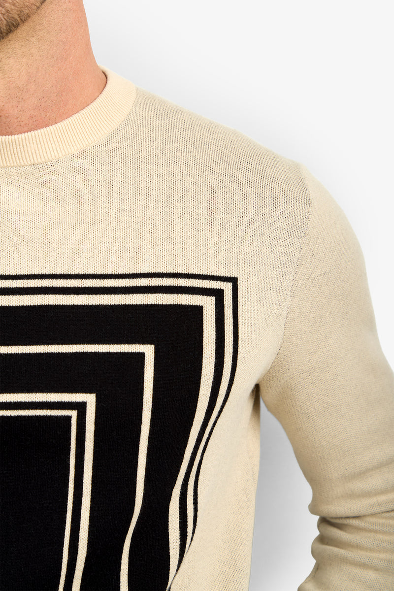 Wearing the RAMOS STRIPE CREWNECK, a cream sweater featuring bold black geometric stripes, only the lower half of the face, shoulder, and upper chest are visible against a plain white background.