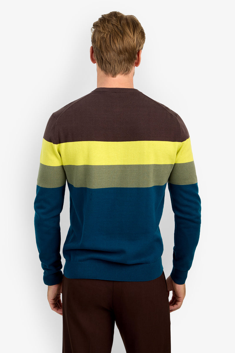 A person is standing with their back to the camera, wearing the ROEMER 100% cotton sweater featuring horizontal stripes in dark brown, yellow, green, and blue, paired with brown pants, set against a plain white background.