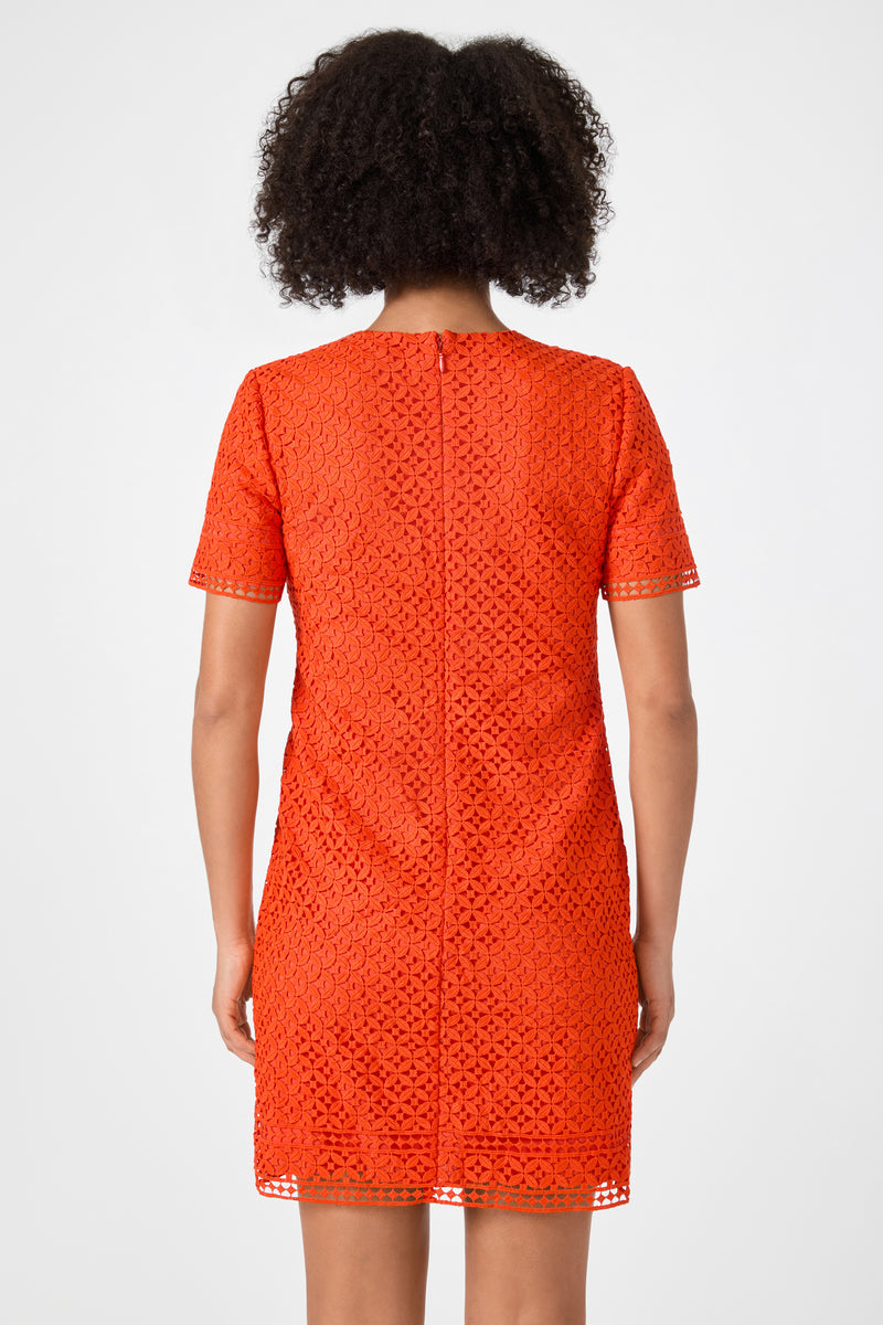 A person with curly dark hair is shown from the back, wearing the Kimasu Short-Sleeve Lace Mini Dress in bright orange. The knee-length dress features a geometric lace pattern, short sleeves, and a visible central seam.