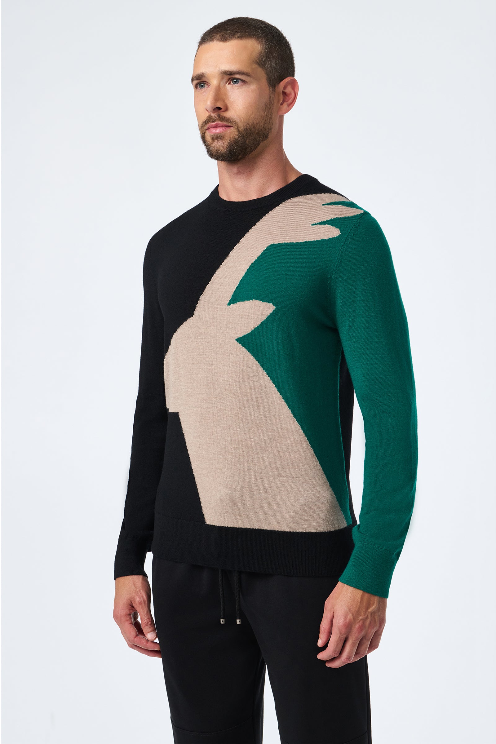 A man with short hair and a beard models the Caribou Crewneck, which showcases a bold beige deer head design on black and green fabric, set against a plain light background.