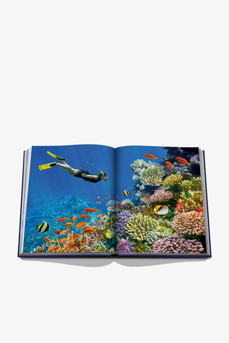 An open copy of Assouline Ocean Wanderlust displays a vivid underwater scene featuring a snorkeler swimming above colorful coral reefs and various tropical fish set against a blue ocean background.