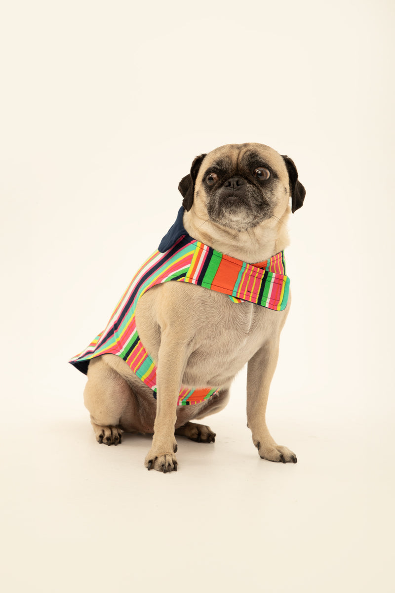 STRIPE LINED PET PAJAMA in MULTI additional image 1