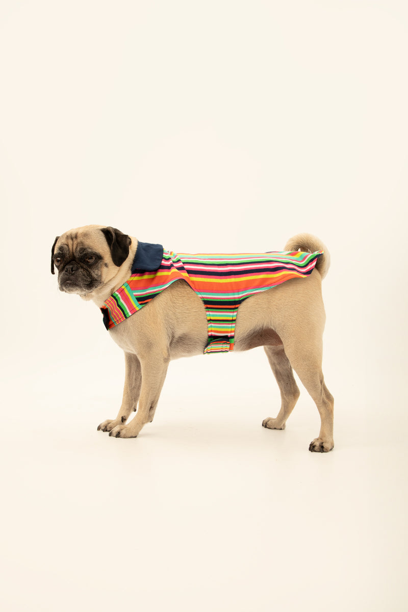 STRIPE LINED PET PAJAMA in MULTI additional image 2