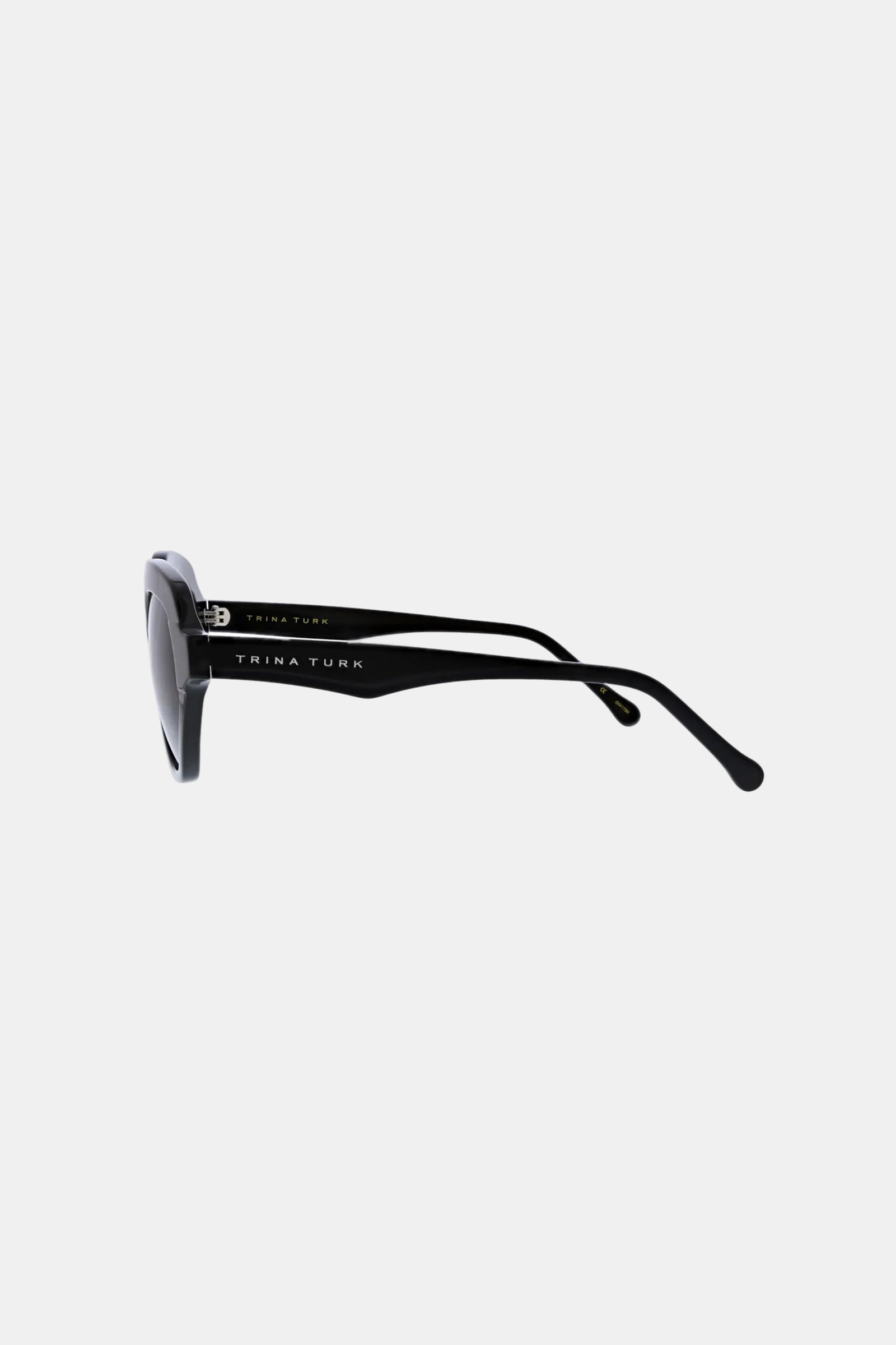 Side view of black Ipanema Sunglasses with dark lenses, featuring the brand name on the arm, set against a plain light gray background.