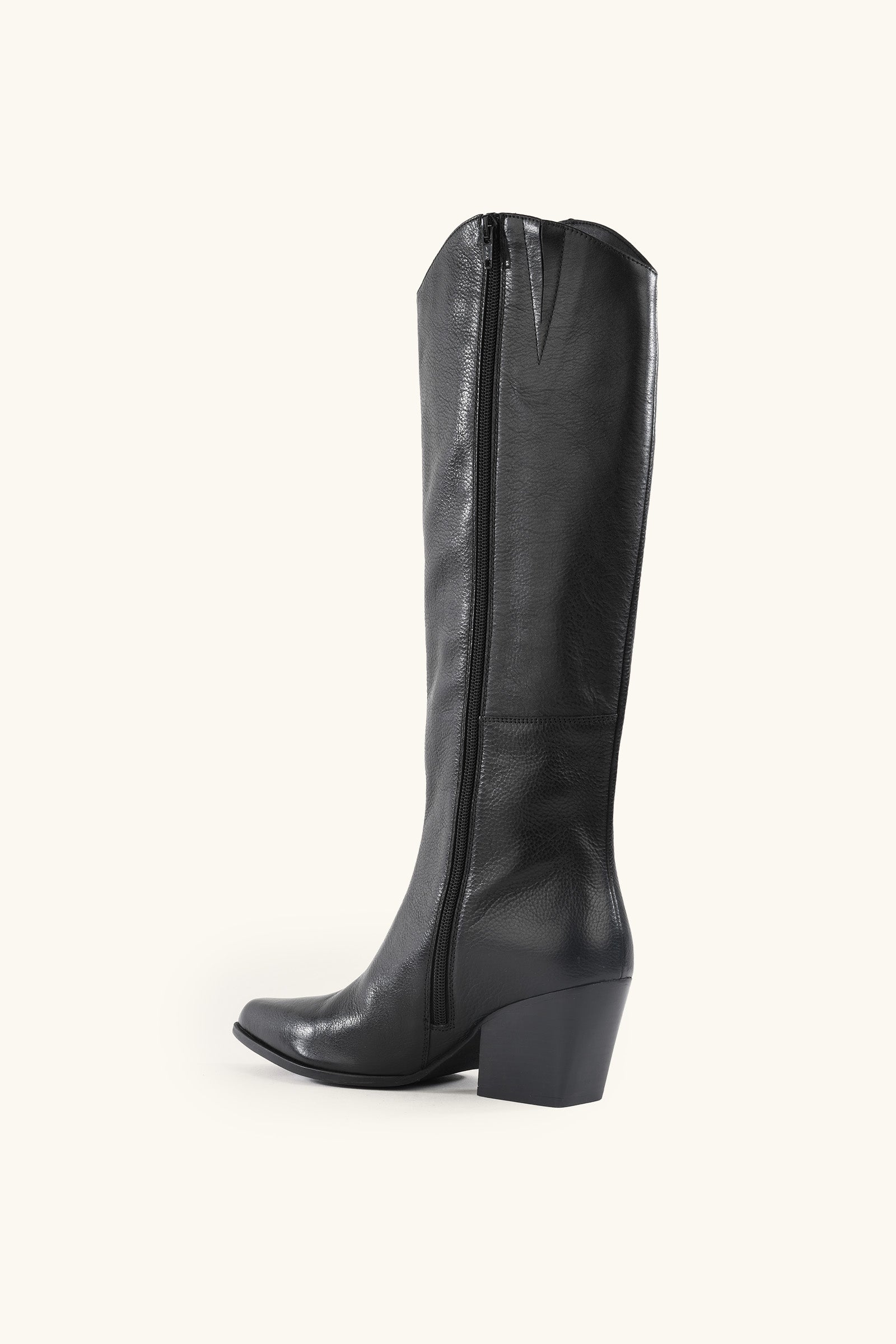 The Begging You Leather Boot is a tall black leather boot featuring a pointed toe, mid-height chunky heel, and side zipper, shown against a plain light background.