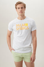 PS SOUVENIR TEE in HEATHER GREY additional image 1