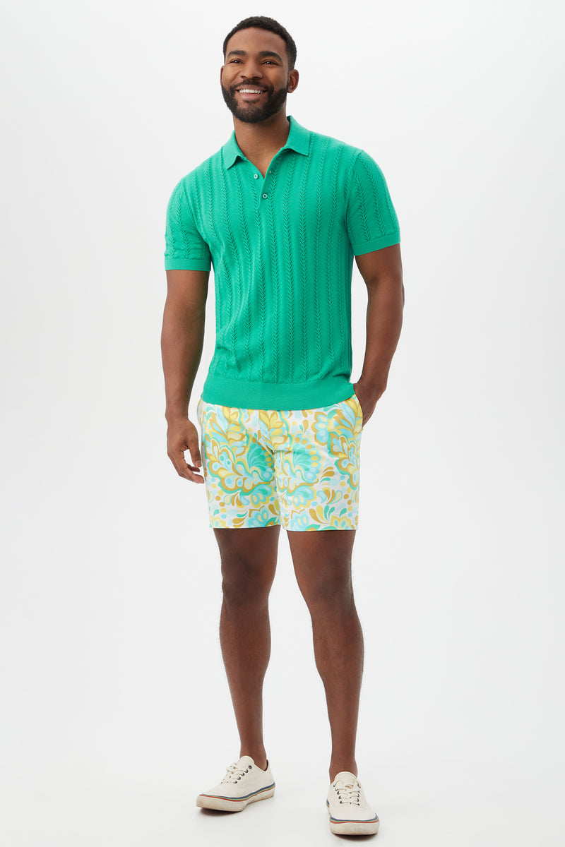 COLE SHORT SLEEVE POLO in GRASS ROOTS additional image 6