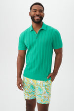 COLE SHORT SLEEVE POLO in GRASS ROOTS additional image 3