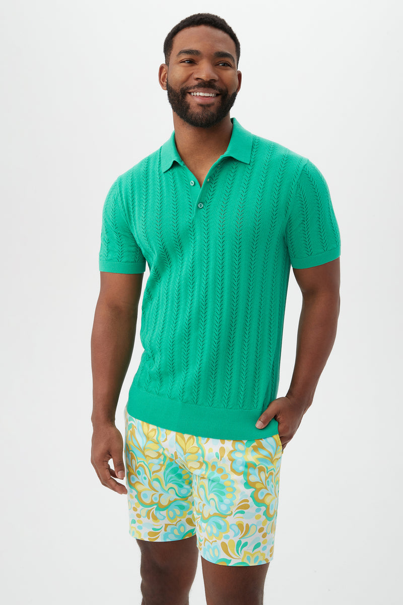COLE SHORT SLEEVE POLO in GRASS ROOTS additional image 3