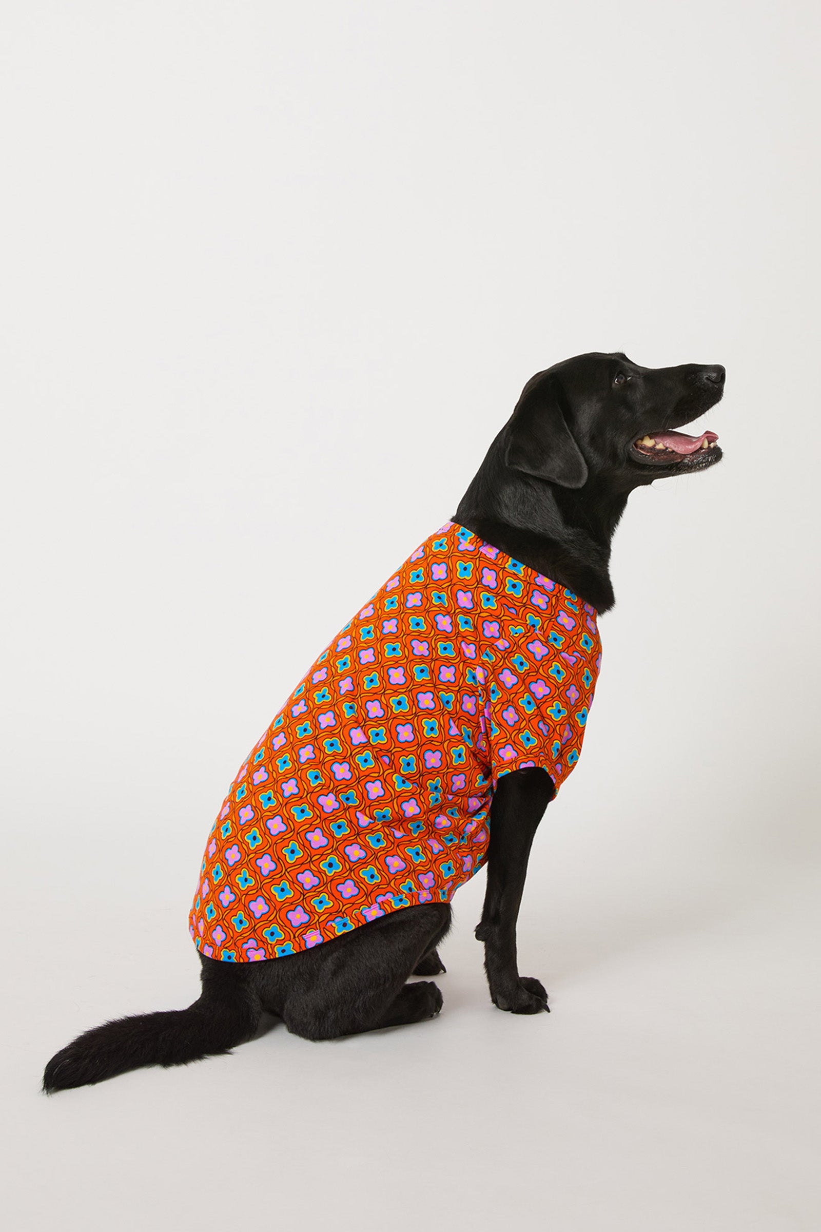 A black dog sits on a white background, wearing the Daisy Foulard Dog Pajama—a vibrant red outfit with blue and yellow geometric patterns. The dog faces right with its mouth slightly open.