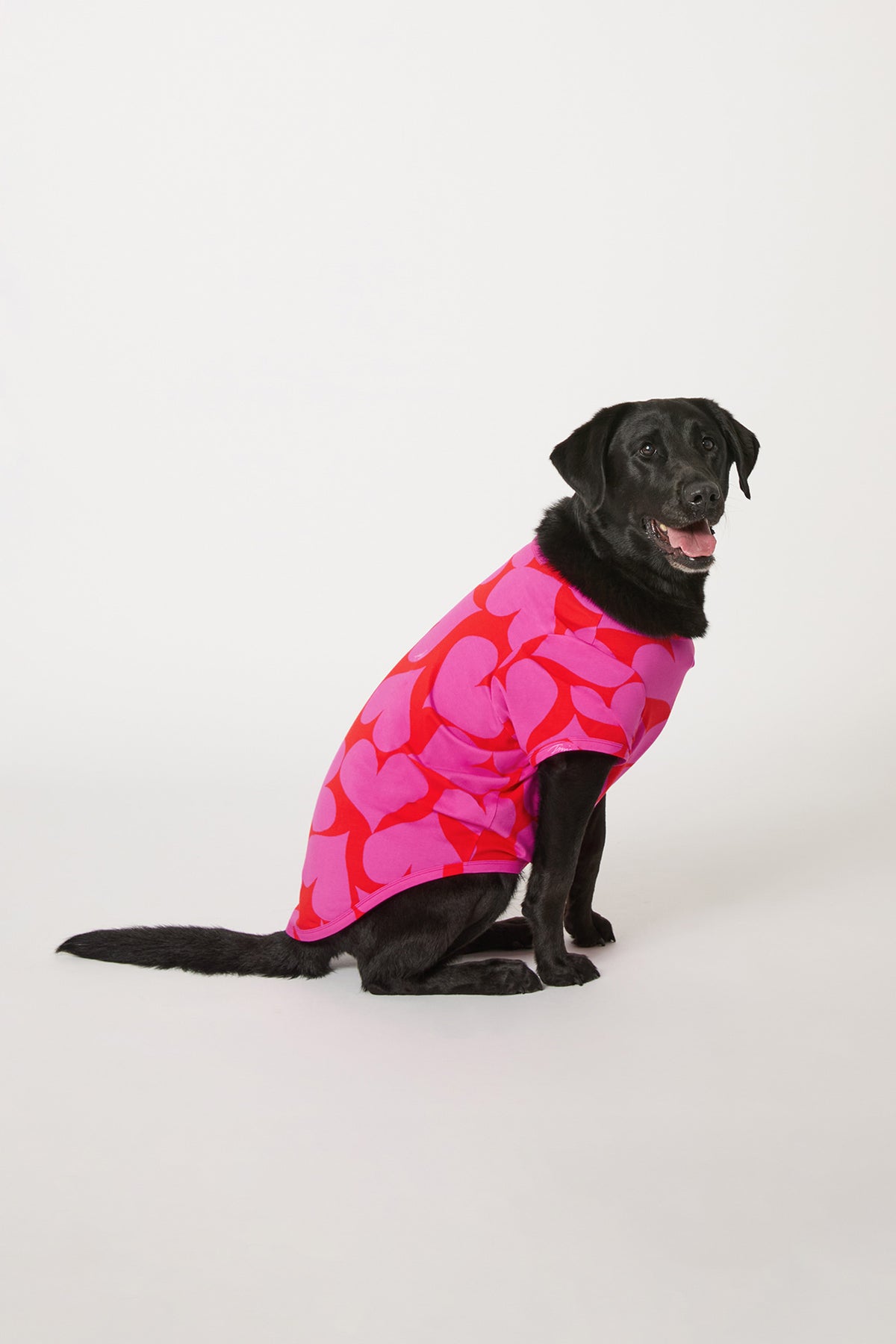 Of course! Please provide the keywords you'd like me to use for the HEARTS DOG PAJAMA.