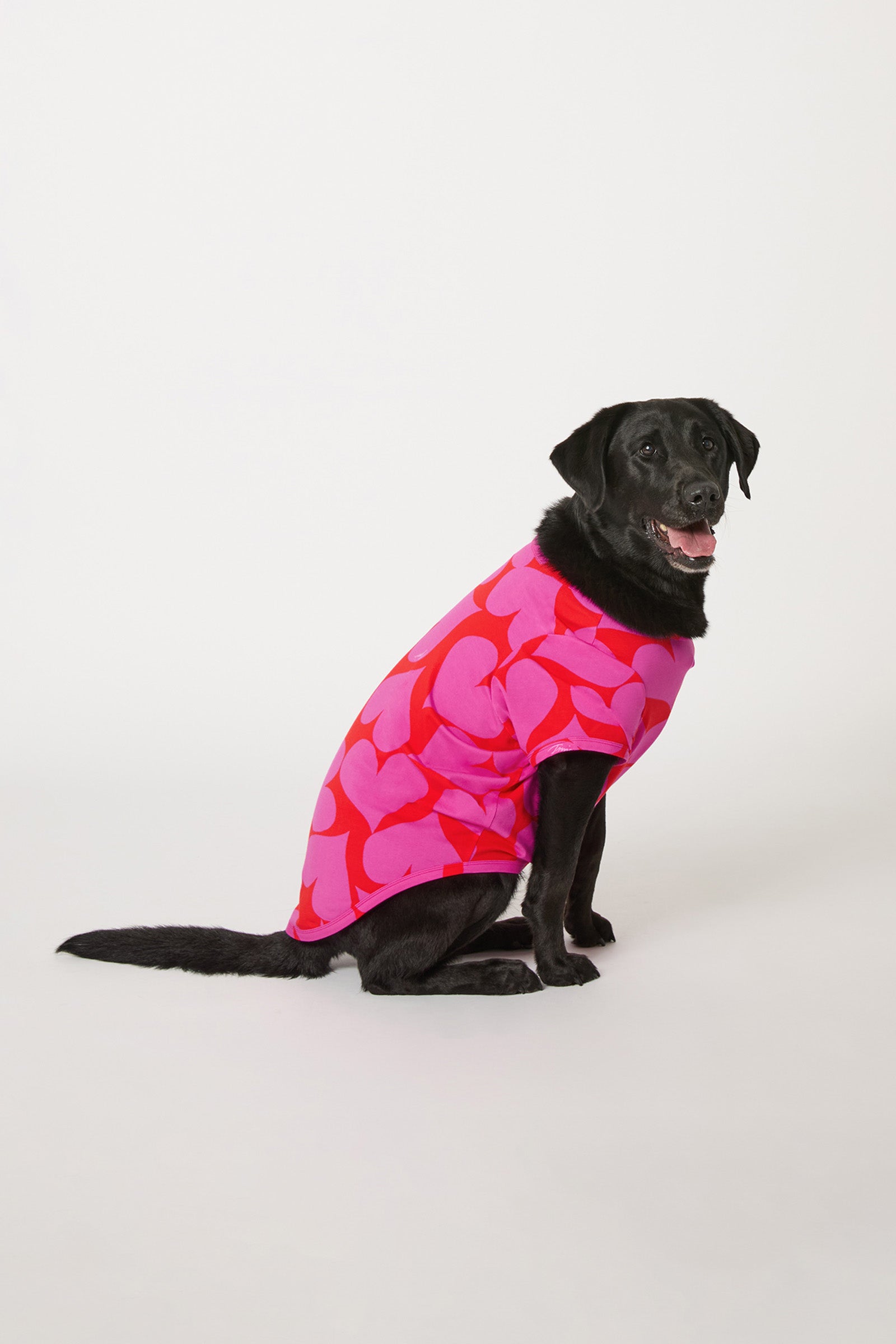 Of course! Please provide the keywords you'd like me to use for the HEARTS DOG PAJAMA.