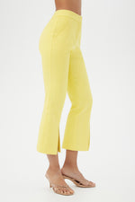 NORTH BEACH PANT in DAISY additional image 7
