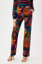 DANNO PANT in MULTI additional image 1