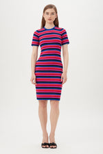 NIJINSKI SWEATER DRESS in MULTI