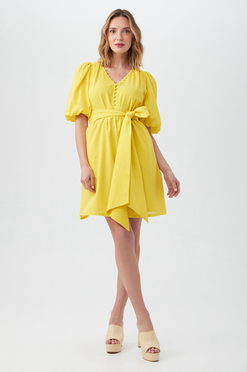 MALINA DRESS in SUNSHINE STATE additional image 4