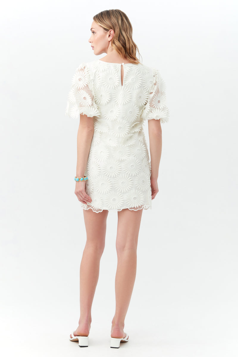 Luv 2 Dress Trina Turk