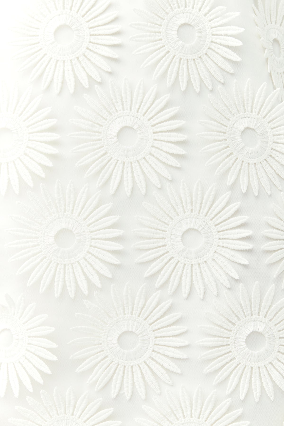 WHITEWASH