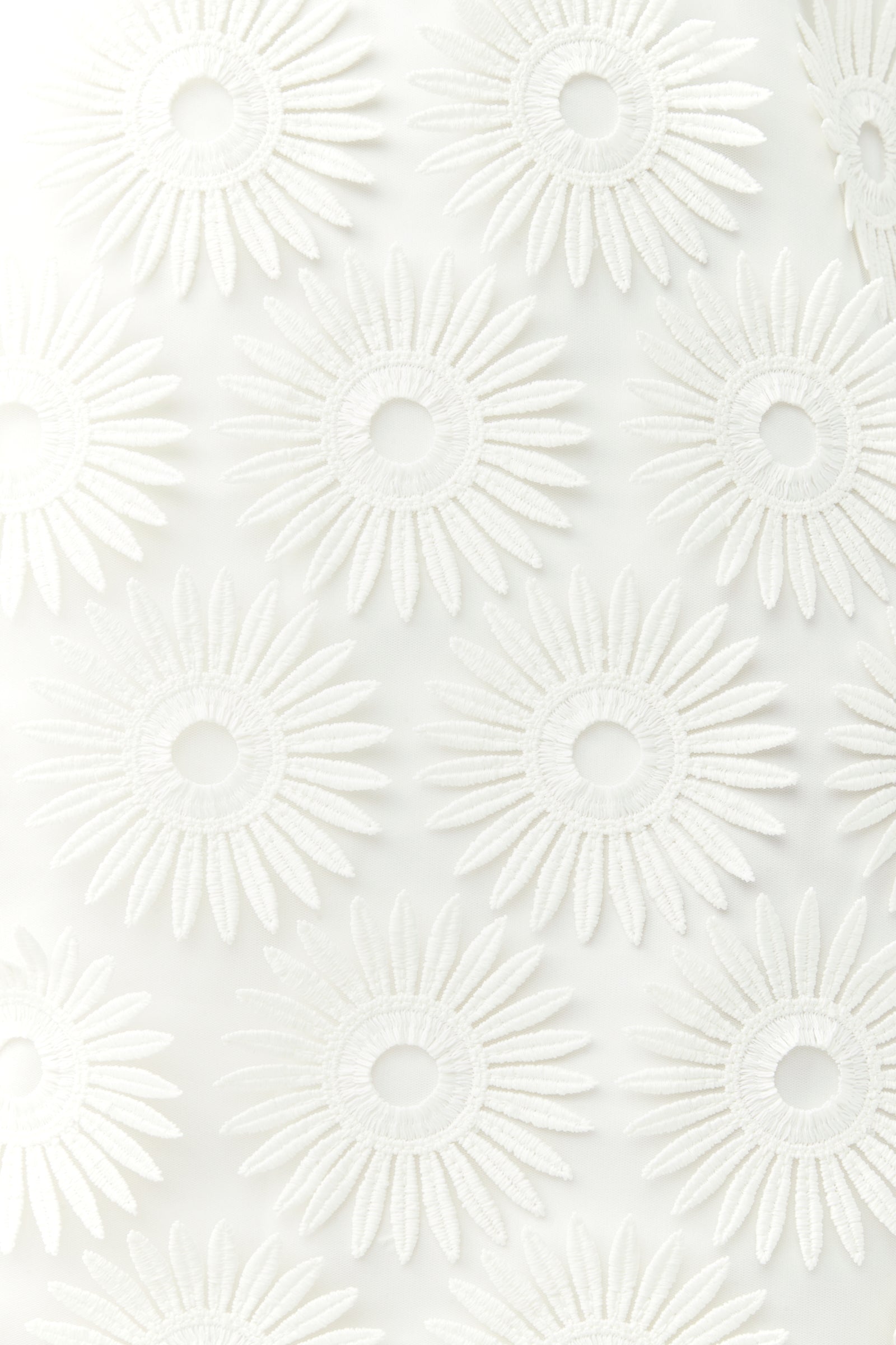 WHITEWASH