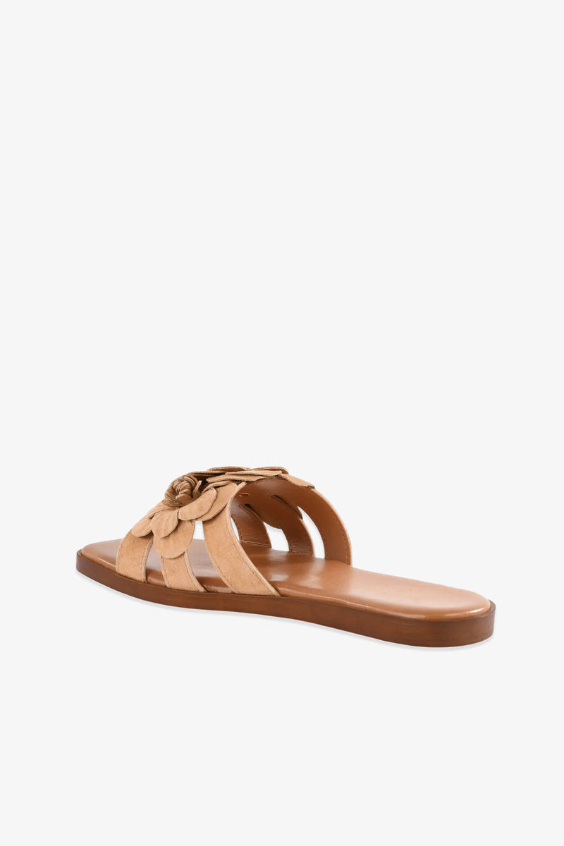 Morning Dew Slide sandal in tan, featuring a flat sole and a decorative flower design on the strap, displayed from a rear side angle against a plain white background.
