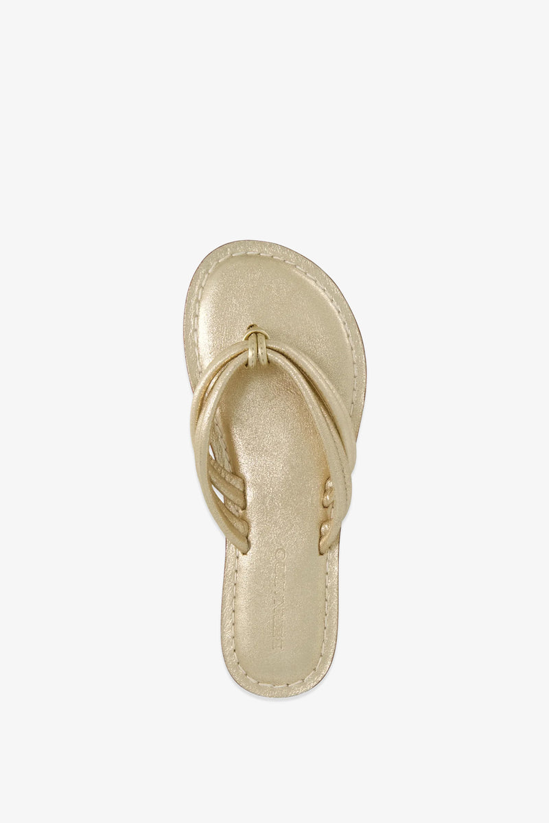 Top view of the Miami Sandal—a single gold metallic sandal featuring a loop and knot design on the strap, displayed against a plain white background.