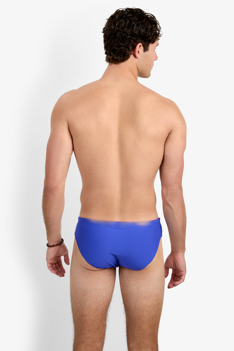 A man with curly brown hair stands facing away, displaying his bare back while wearing the PALM BEACH SWIM BRIEF in bright blue against a plain white background.