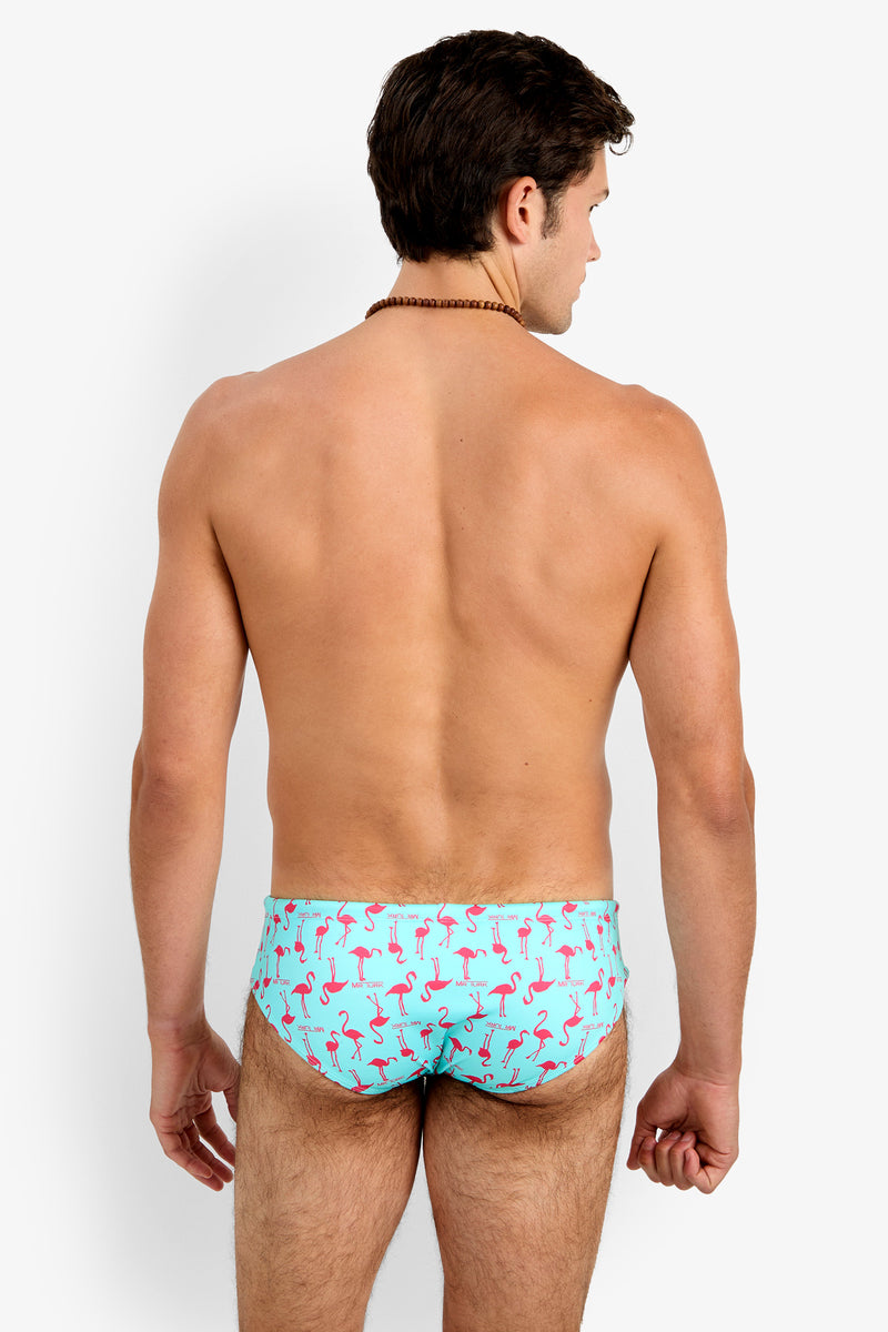 Of course! Please provide the keywords you'd like me to use for the BONDI SWIM BRIEF.