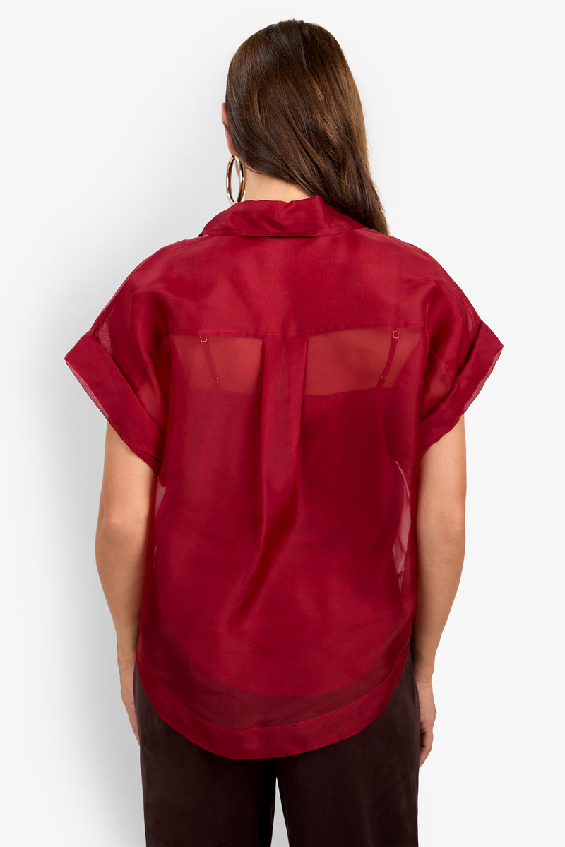 A woman with long brown hair is seen from the back wearing the Costanzo Top, a sheer, short-sleeved, dark red collared blouse, paired with dark pants against a plain white background.