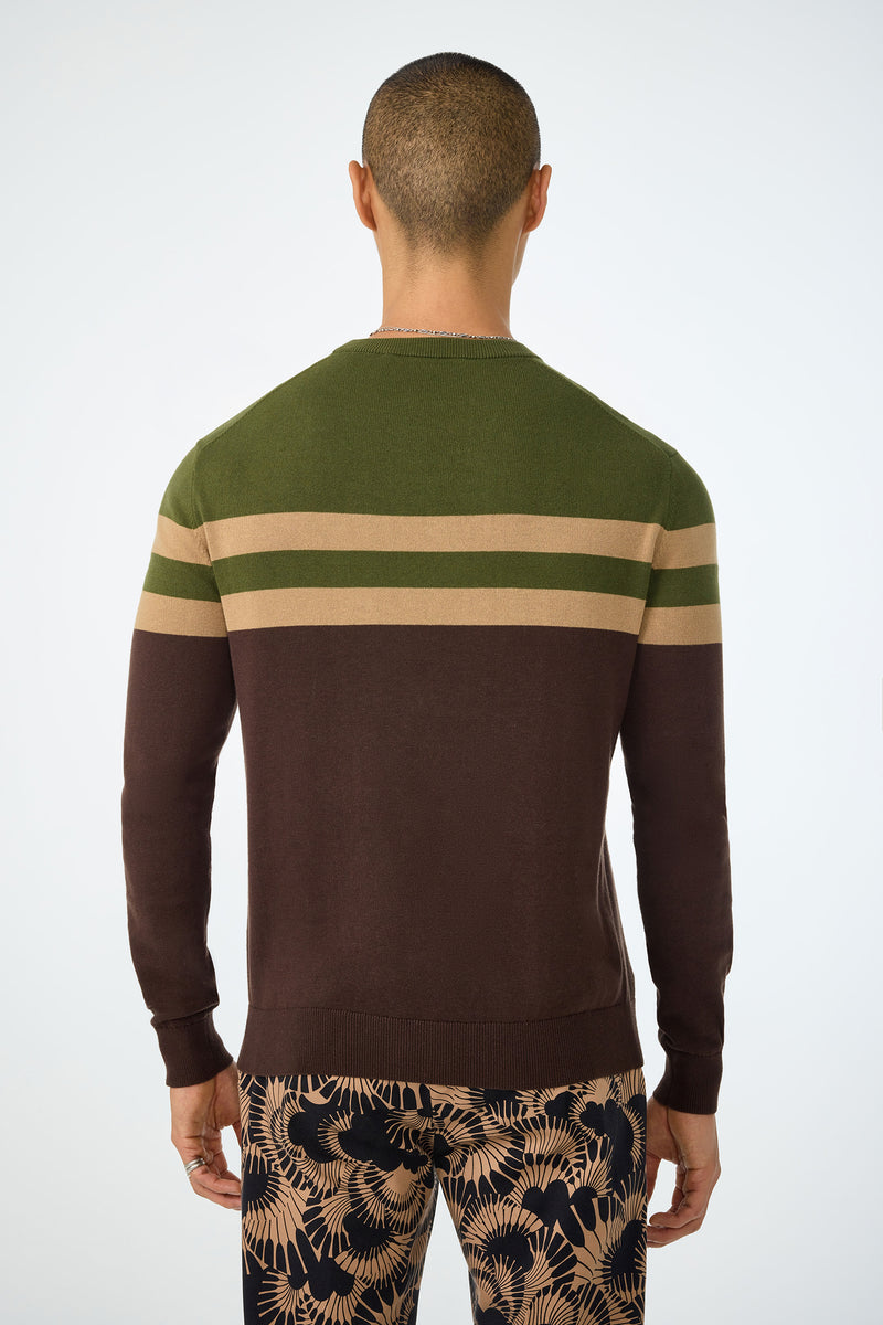 A person with short hair is shown from behind, wearing the Romero Crewneck Sweater in green and brown with beige stripes, and patterned brown leafy-design pants. The background is plain white.