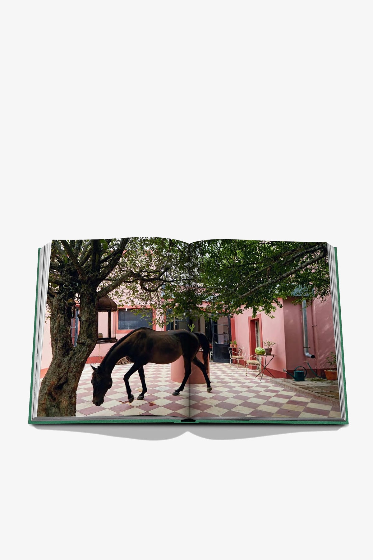 An open Assouline Punta Del Este Book displays a photo of a horse grazing under a tree in a courtyard with pink walls and checkered tiles.