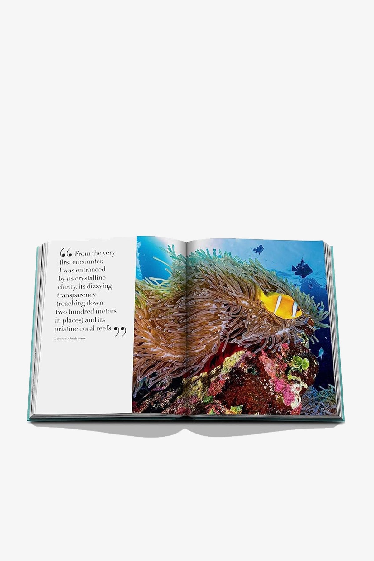 An open copy of the Assouline Saudi Arabia: Red Sea Book displays a quote on the left page and a photo of a clownfish in a sea anemone surrounded by vibrant coral on the right page.