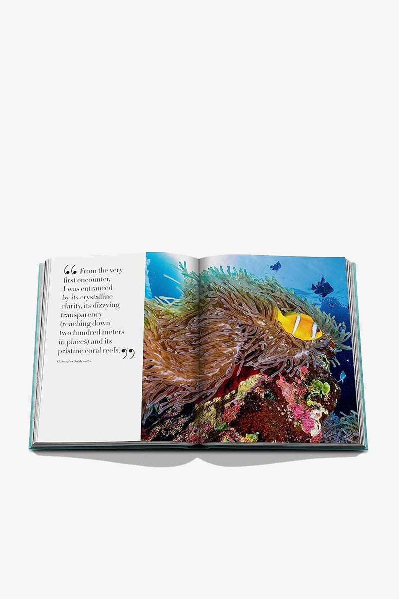 An open copy of the Assouline Saudi Arabia: Red Sea Book displays a quote on the left page and a photo of a clownfish in a sea anemone surrounded by vibrant coral on the right page.