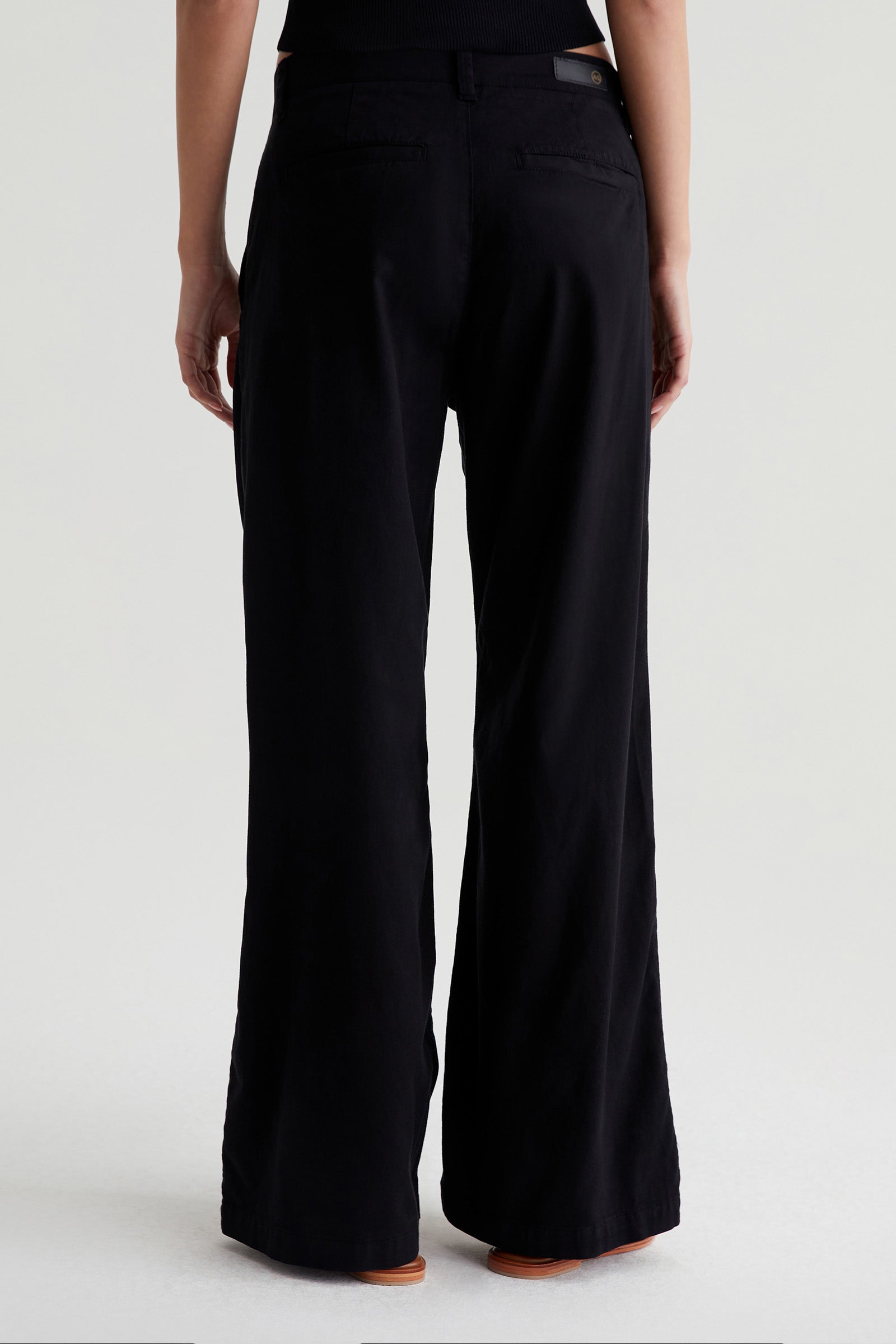 A person is shown from the back, wearing the AG Caden Wide Leg Pant in black and brown shoes, standing against a plain light background.