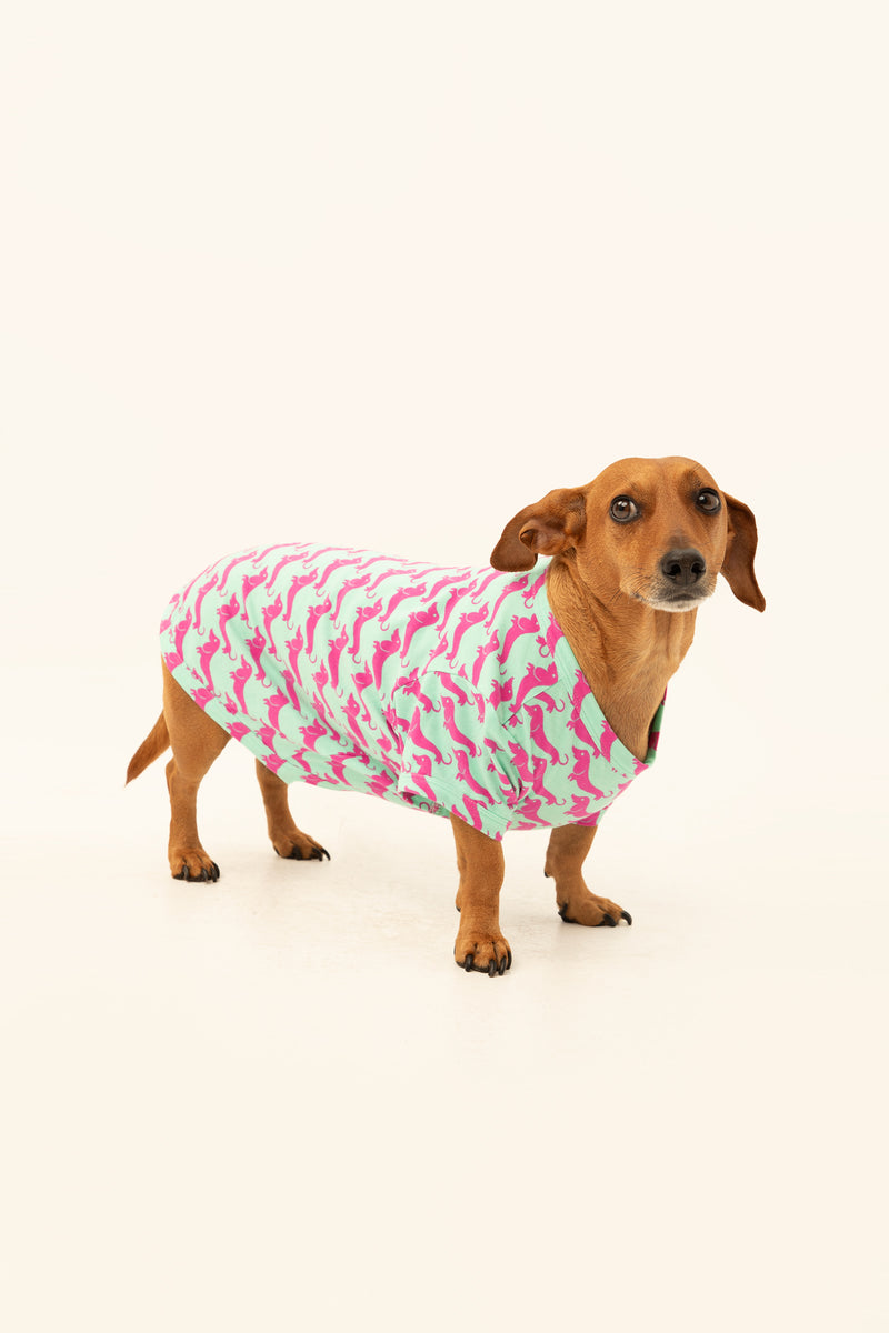 DOG WALK JERSEY PET PAJAMA SHIRT in PURPLE