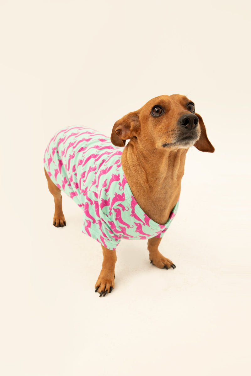 DOG WALK JERSEY PET PAJAMA SHIRT in PURPLE additional image 2