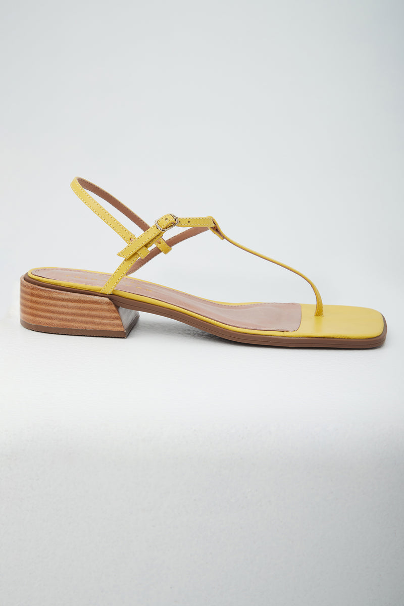 PALM SPRINGS T-STRAP SANDAL in SUNSHINE STATE