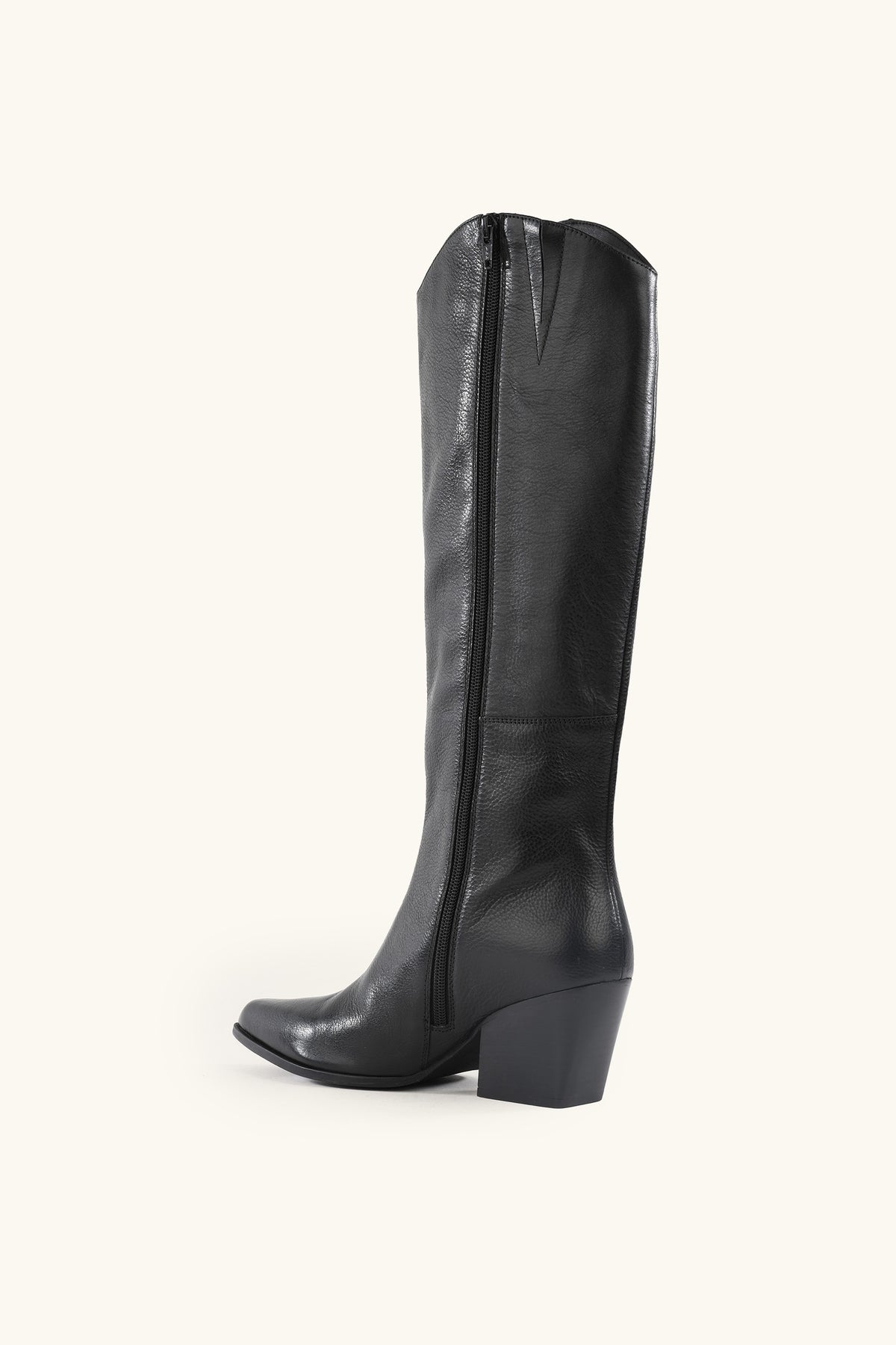The Begging You Leather Boot is a tall black leather boot featuring a pointed toe, mid-height chunky heel, and side zipper, shown against a plain light background.