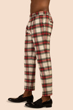 BEALE PLEATED TROUSER in MULTI additional image 2